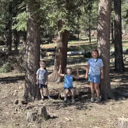 Commenter la photo 2