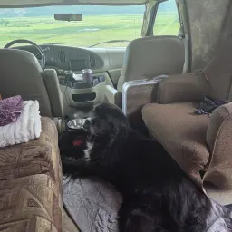 Recensisci la foto 2