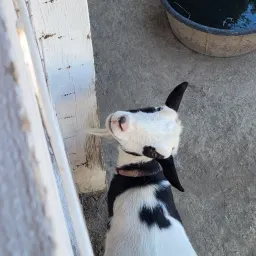 Commenter la photo 4