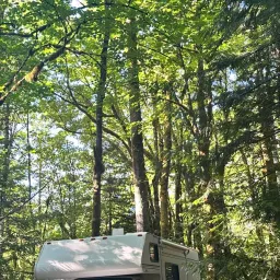 Commenter la photo 1