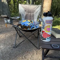 Commenter la photo 1