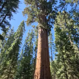 Foto de la valoración 7