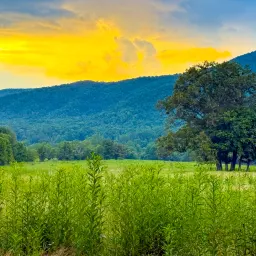 Foto 12 überprüfen