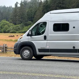 Recensisci la foto 4