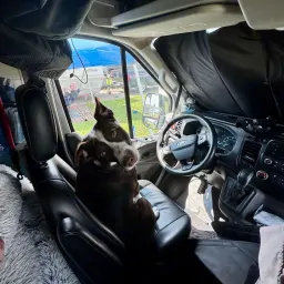 Foto de la valoración 2