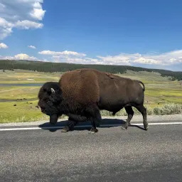 Commenter la photo 3