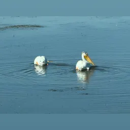 Foto de la valoración 10