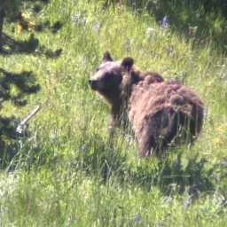 Foto de la valoración 8