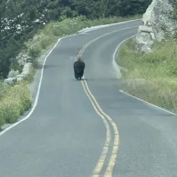 Foto de la valoración 12