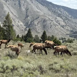Foto de la valoración 7
