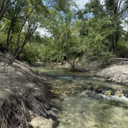 Commenter la photo 6