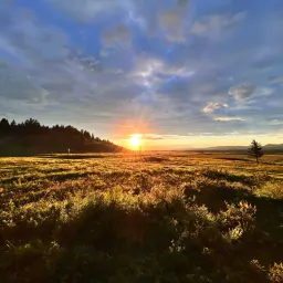 Commenter la photo 5