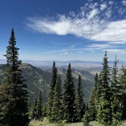 Commenter la photo 2