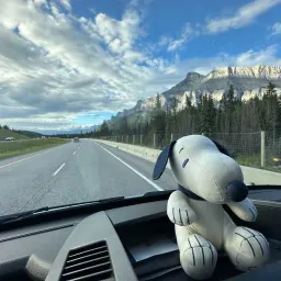 Commenter la photo 1