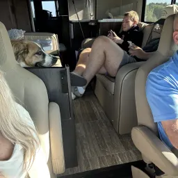 Commenter la photo 1