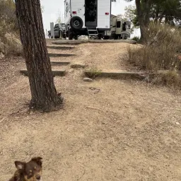 Commenter la photo 1