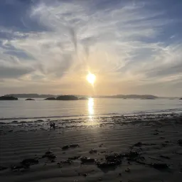 Commenter la photo 2