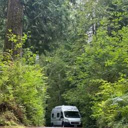 Commenter la photo 1