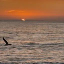 Commenter la photo 1