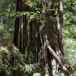 Recensisci la foto 5