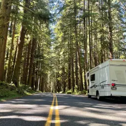 Commenter la photo 1