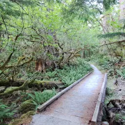 Foto de la valoración 9