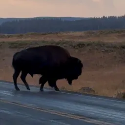 Commenter la photo 1