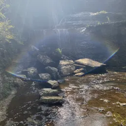 Foto de la valoración 13