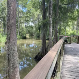 Foto de la valoración 20