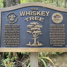 Foto de la valoración 19