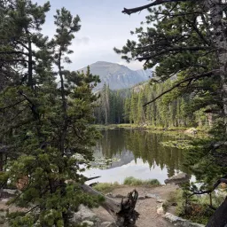 Recensisci la foto 4