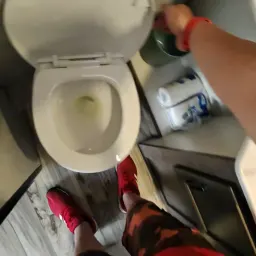 Commenter la photo 1