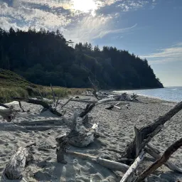 Commenter la photo 1