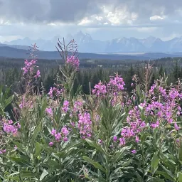 Commenter la photo 3