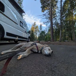 Recensisci la foto 2