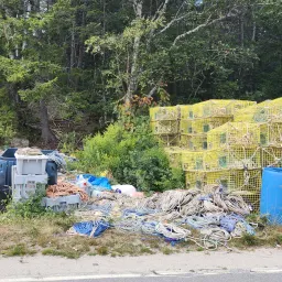 Commenter la photo 21