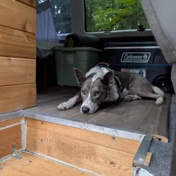 Foto de la valoración 3