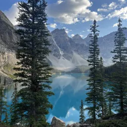 Commenter la photo 1