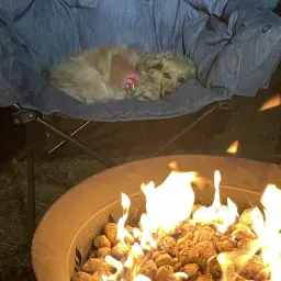 Commenter la photo 3