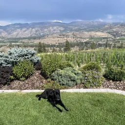 Commenter la photo 2