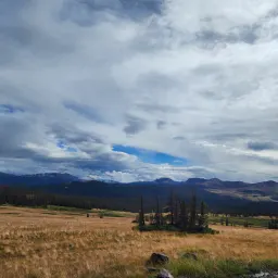 Commenter la photo 1