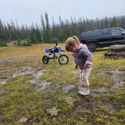 Commenter la photo 2