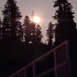 Commenter la photo 1