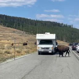 Recensisci la foto 2