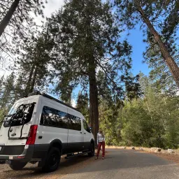 Commenter la photo 2