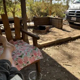 Commenter la photo 1