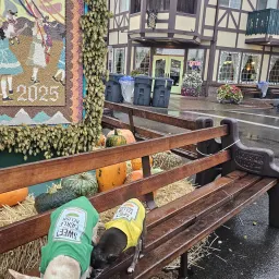 Recensisci la foto 2