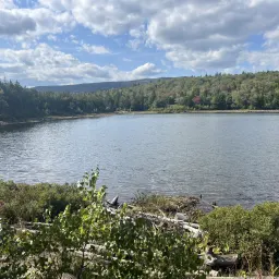 Commenter la photo 3