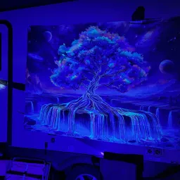 Foto de la valoración 4