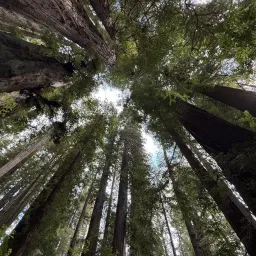 Commenter la photo 4